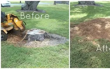 Stump grinding project before and after completion