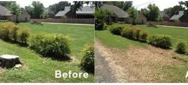Finished stump grinding result on a Louisiana property